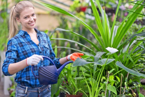Company representative discussing a garden issue with a client in a leafy neighbourhood