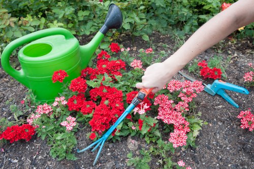 Hedge trimming team using hand tools and chippers in a suburban garden.