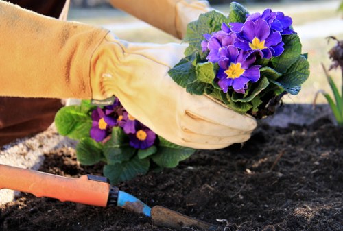 Inspector or senior gardener reviewing notes at a property with plants