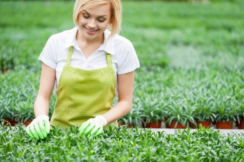 Person using keyboard navigation to book gardening services